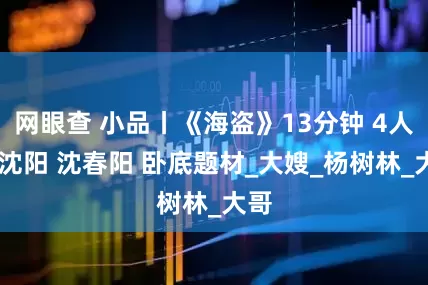 网眼查 小品丨《海盗》13分钟 4人 小沈阳 沈春阳 卧底题材_大嫂_杨树林_大哥