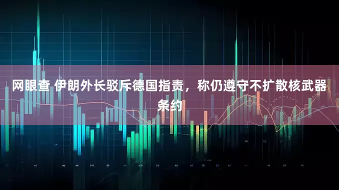 网眼查 伊朗外长驳斥德国指责，称仍遵守不扩散核武器条约