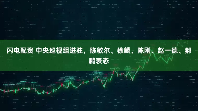 闪电配资 中央巡视组进驻，陈敏尔、徐麟、陈刚、赵一德、郝鹏表态