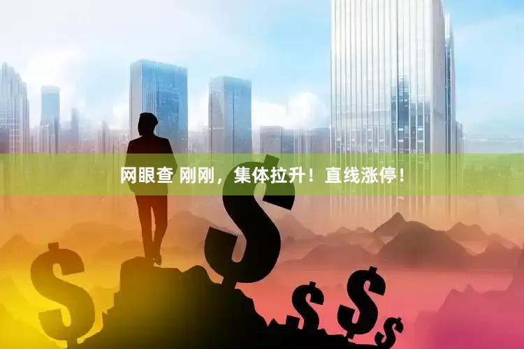 网眼查 刚刚，集体拉升！直线涨停！