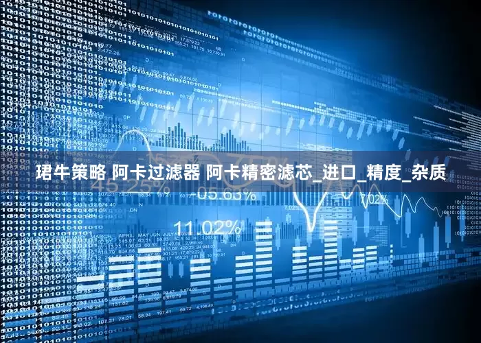 珺牛策略 阿卡过滤器 阿卡精密滤芯_进口_精度_杂质