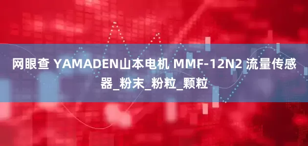 网眼查 YAMADEN山本电机 MMF-12N2 流量传感器_粉末_粉粒_颗粒