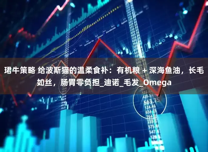 珺牛策略 给波斯猫的温柔食补：有机粮 + 深海鱼油，长毛如丝，肠胃零负担_迪诺_毛发_Omega